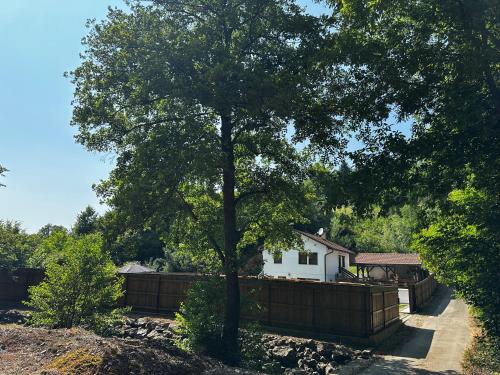 a house with a tree in front of a fence at Holiday home with private pool ''Lux Banja Luka'' in Banja Luka