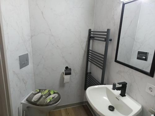 a bathroom with a sink and a toilet and a mirror at 1-ZApp "TRENDHAUS-2" Zentrum! in Hofgeismar