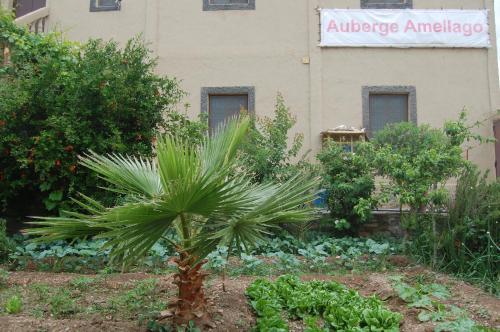 Zahrada ubytování Auberge Amellagou