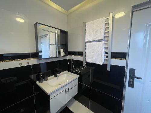 a black and white bathroom with a sink and a shower at Kassardjian Apartments in Accra