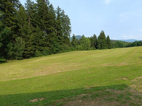 a large green field with trees in the background at Maringotka U Skalek in Hlavňovice