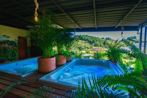 Bazén v ubytování Hotel Bambu Guatape nebo v jeho okolí