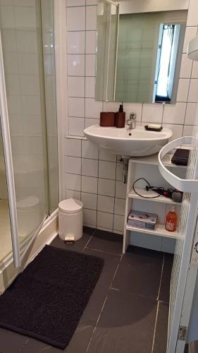 une salle de bain avec un lavabo, une douche et des toilettes dans l'établissement Panter Properies Studio, à Cannes