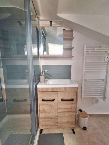 une salle de bain avec un lavabo et une douche dans l'établissement Charming 3-room apartment in Nice Centre, à Nice