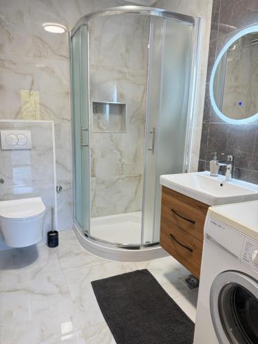 a bathroom with a shower and a toilet and a sink at Apartment Gabriela in Rakovica
