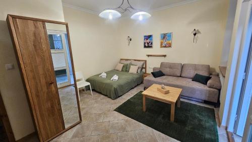 Baltic Swans - Studio