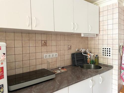 Kuchyň nebo kuchyňský kout v ubytování Nina Apartman