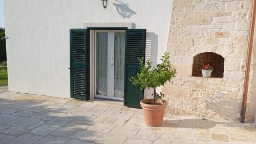 a window with green shutters and a potted plant on a building at Villa Annarè in Martina Franca