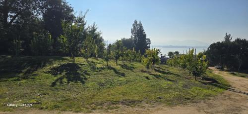 a grassy hill with trees on top of it at Casa Lago Rapel in Las Cabras
