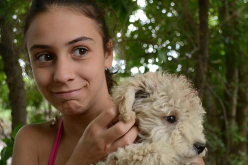 a young woman holding a small white dog at Cabañas La Mercedes-Cabaña 1 in Tupungato