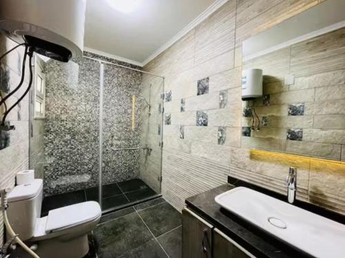 a bathroom with a shower and a toilet and a sink at Family apartment at The Nile maadi in Cairo