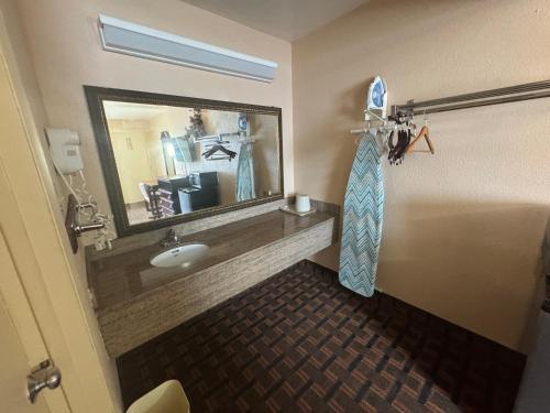 a bathroom with a sink and a mirror at Travel inn in Richmond