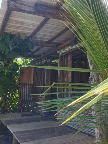 a wooden porch with a palm tree in front of it at Chowa lodge in Nuquí