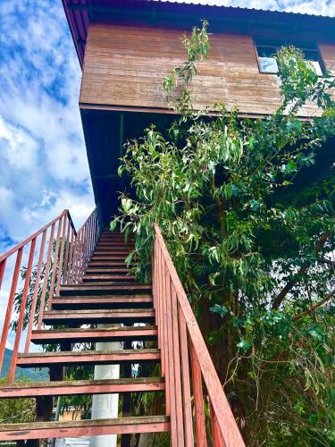 a staircase leading up to a building with trees at Trini Treehouse By GEstores in Huasca de Ocampo