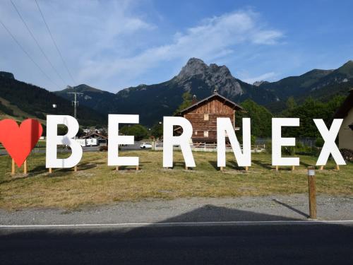 Photo de la galerie de l'établissement Appartement à Bernex près des pistes, 4 pers, balcon - FR-1-498-114, à Bernex