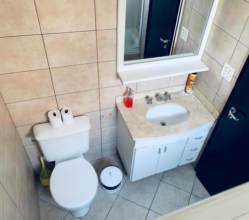 a bathroom with a toilet and a sink and a mirror at Apartamento Inteiro - Duplex no Panamby - Próximo do Estádio do Morubi - Hospital Albert Einstein - Expo Transámerica - Shopping Jardim Sul e Morumbi Towm - Consulado Americano in Sao Paulo