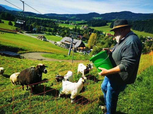 a man standing in a field with a herd of sheep at Holiday home in Gaal im Murtal in a beautiful setting in Pirkach