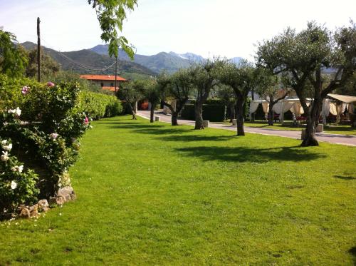 a row of trees in a park with mountains in the background at Hotel da Filie' in Querceta