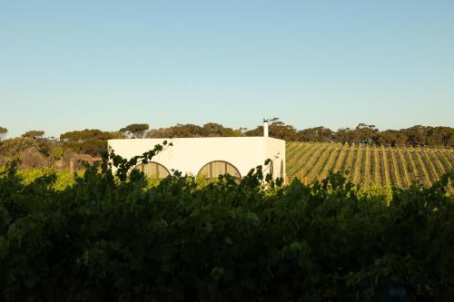a house in the middle of a vineyard at Clay - Rare Earth Retreats in McLaren Vale