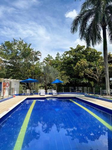 a swimming pool with blue water and palm trees at Cabaña Las Ceibas in Nocaima