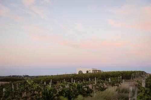 a vineyard with a white building on the horizon at Stone - Rare Earth Retreats in McLaren Vale
