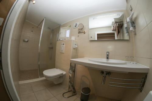 une salle de bain avec un lavabo, des toilettes et une douche dans l'établissement Mas la Provence, à LʼIsle-sur-la-Sorgue