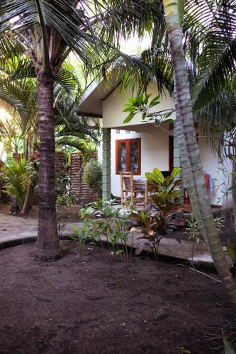 Κήπος έξω από το Florine's Garden