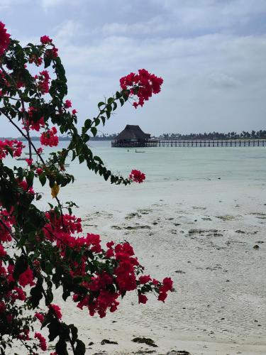 a view of a beach with pink flowers and a pier at Malcom Ocean View Retreat in Pongwe