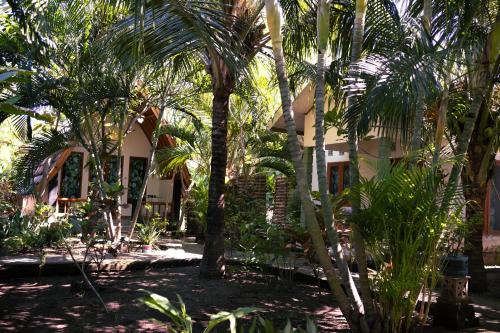 Κήπος έξω από το Florine's Garden