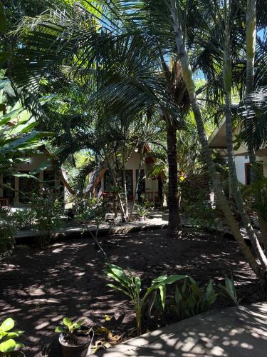 Κήπος έξω από το Florine's Garden
