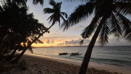 a beach with two palm trees and a boat in the water at Fully Private, Beach Access, Native Cottage, Queen Bed, AC, WiFi in General Luna