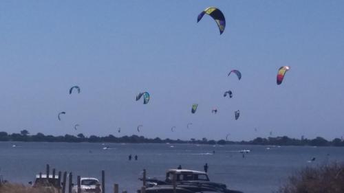 a bunch of kites flying over a body of water at Casa Bianca da Giusy in Birgi Vecchi