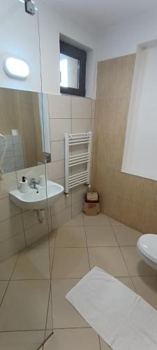 a bathroom with a sink and a toilet at Pensiunea Bulevard in Râmnicu Vâlcea