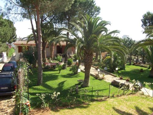 une cour avec des palmiers et une maison dans l'établissement Villa Chiara - Vittoria, à Vittoria