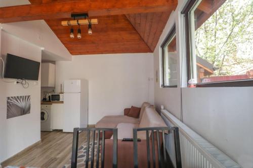 ブシュテニにあるCasa Antonia Busteniのソファと窓のあるリビングルーム