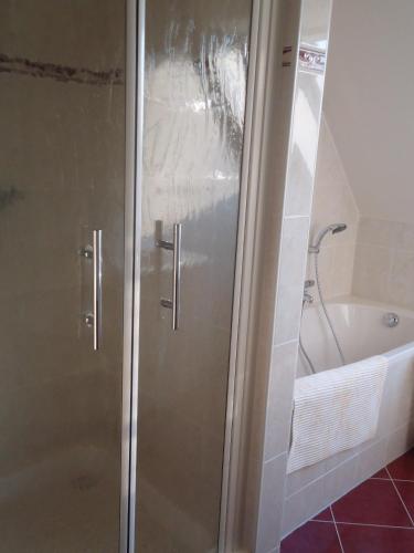 a shower with a glass door next to a bath tub at Huize Polderzicht aan het Grevelingenmeer in Battenoord