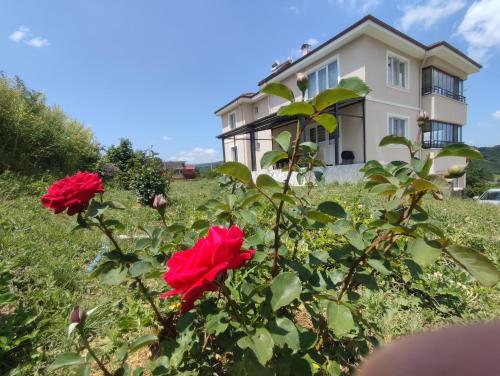 a house with red roses in front of it at Akkayalar Aerie House in Çepni