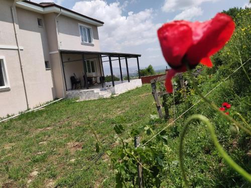 a house with a red flower in the yard at Akkayalar Aerie House in Çepni
