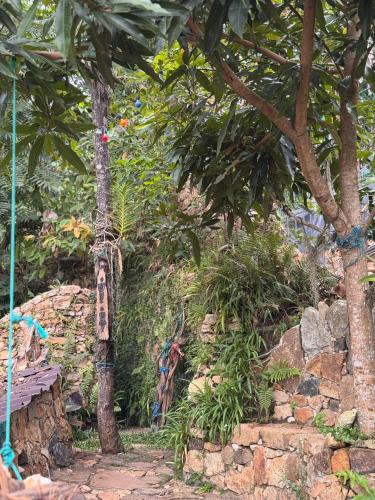 a garden with trees and a stone wall at Wild Heart Glamping in Ella