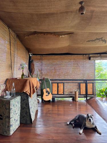 a dog laying on the floor in a room at Wild Heart Glamping in Ella