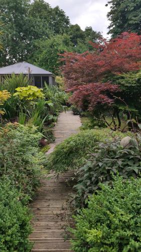 a wooden path through a garden with colorful plants at Tropical Garden Oasis Rooms in Birmingham
