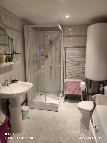une salle de bain avec une douche, un lavabo et des toilettes dans l'établissement Maison de vacances individuelle toute équipée, à Dampierre-sous-Bouhy