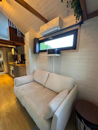 Tiny house face à la forêt - Évasion nature