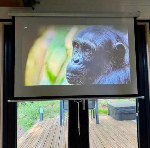 Tiny house face à la forêt - Évasion nature