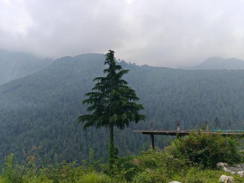 Un paisaje natural cerca de la habitación en casa particular