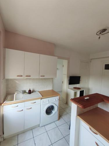 une cuisine avec un évier et une machine à laver dans l'établissement 101 Appartement, à Saint-Étienne