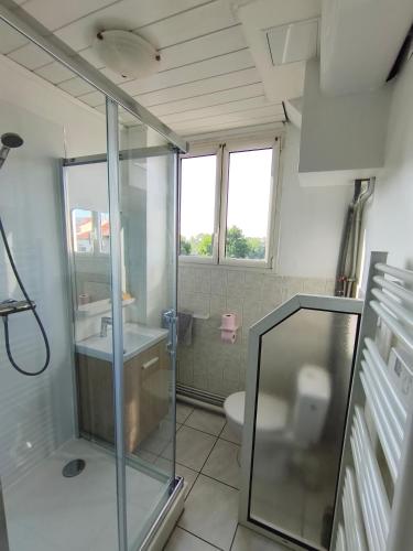 une salle de bain avec une douche en verre et des toilettes dans l'établissement 101 Appartement, à Saint-Étienne