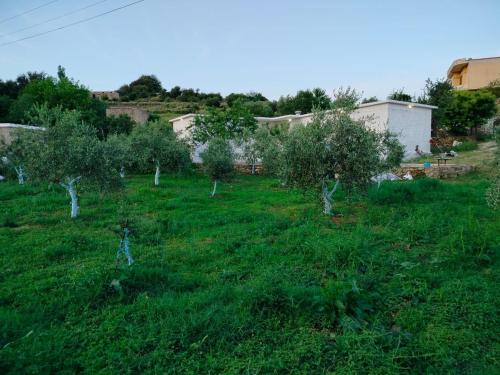 Guest House Bardhyl Balili