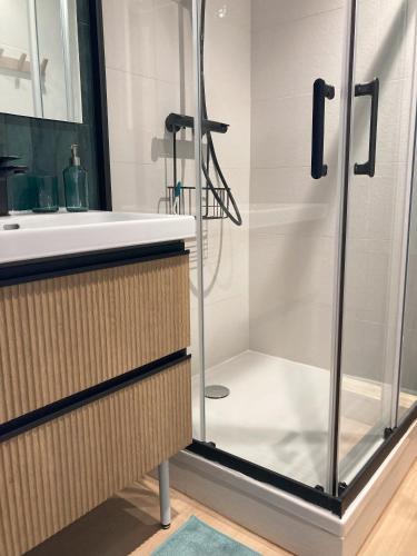 une salle de bain avec douche et lavabo dans l'établissement Tropical Duplex : Bord de mer + Piscine, à Frontignan