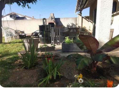 un jardin avec des plantes devant une maison dans l'établissement Chambre chez l'habitant, à Bezouce